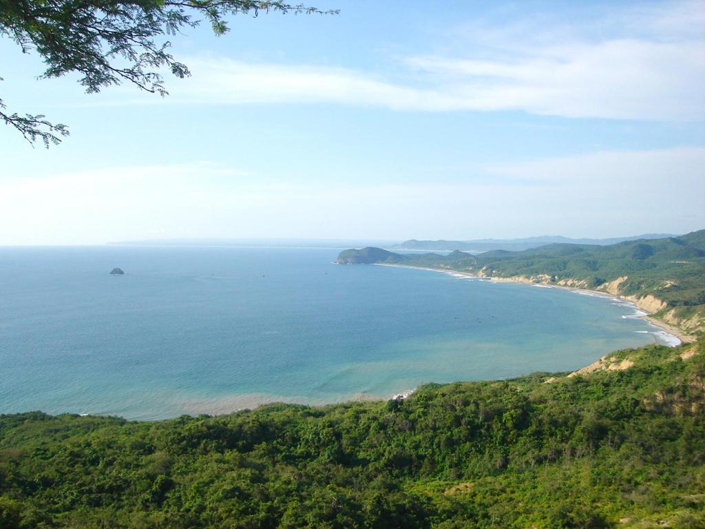 Hostal Humpback Internacional Puerto López Kültér fotó